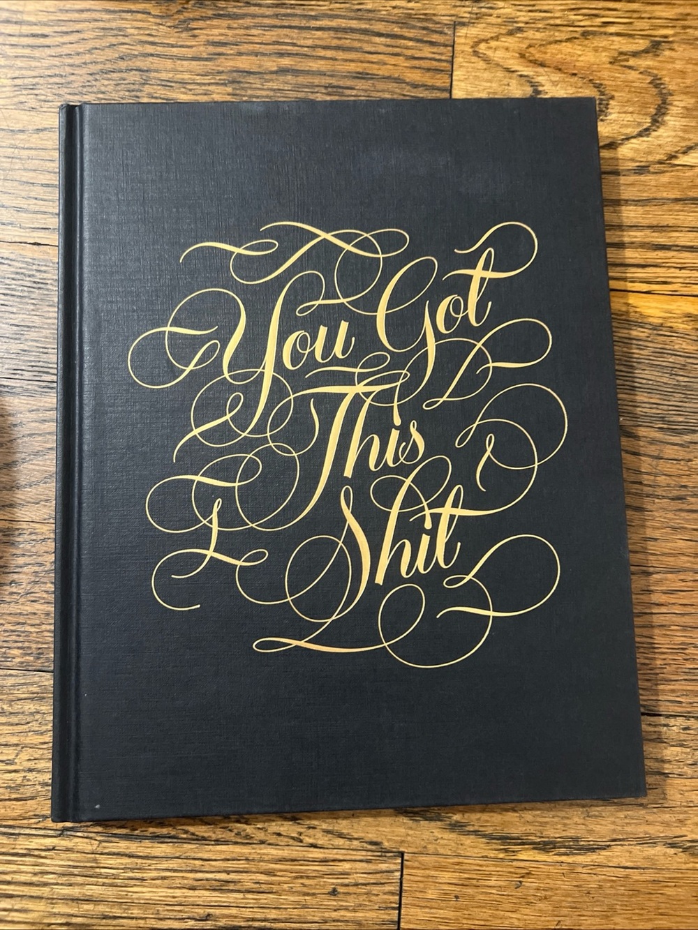 You Got This Sh*t journal